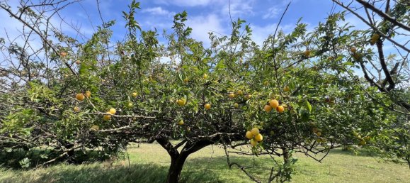 4 bedrooms House in Asturias, Spain No. 150480 8