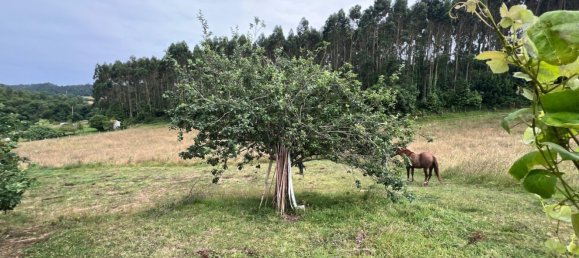 4 bedrooms House in Asturias, Spain No. 150480 4