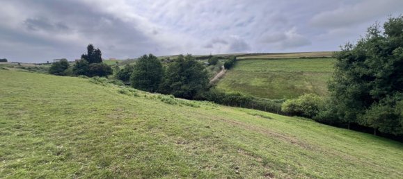 4 bedrooms House in Asturias, Spain No. 150480 14