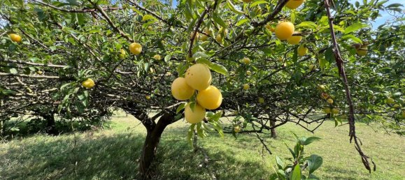 4 bedrooms House in Asturias, Spain No. 150480 7