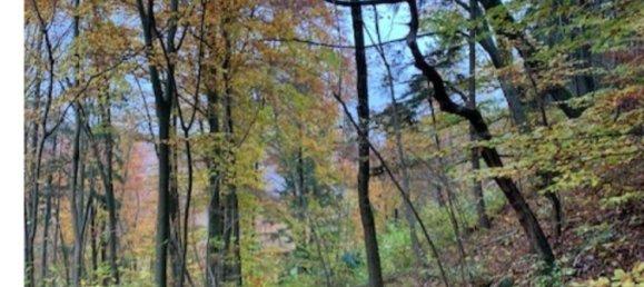 Terrain à Nurnberger Land, Germany No. 263834 9