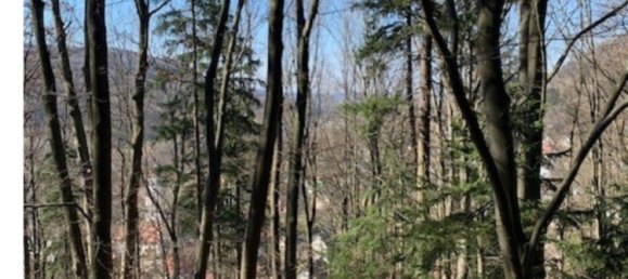 Terrain à Nurnberger Land, Germany No. 263834 8