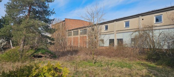 63920m² Warehouse in Nordsachsen, Germany No. 224263 13