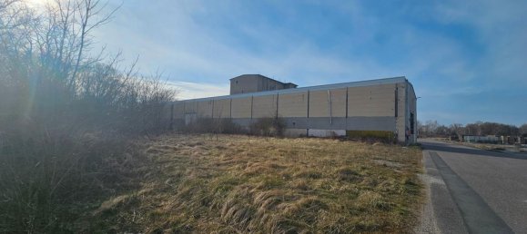 63920m² Warehouse in Nordsachsen, Germany No. 224263 14