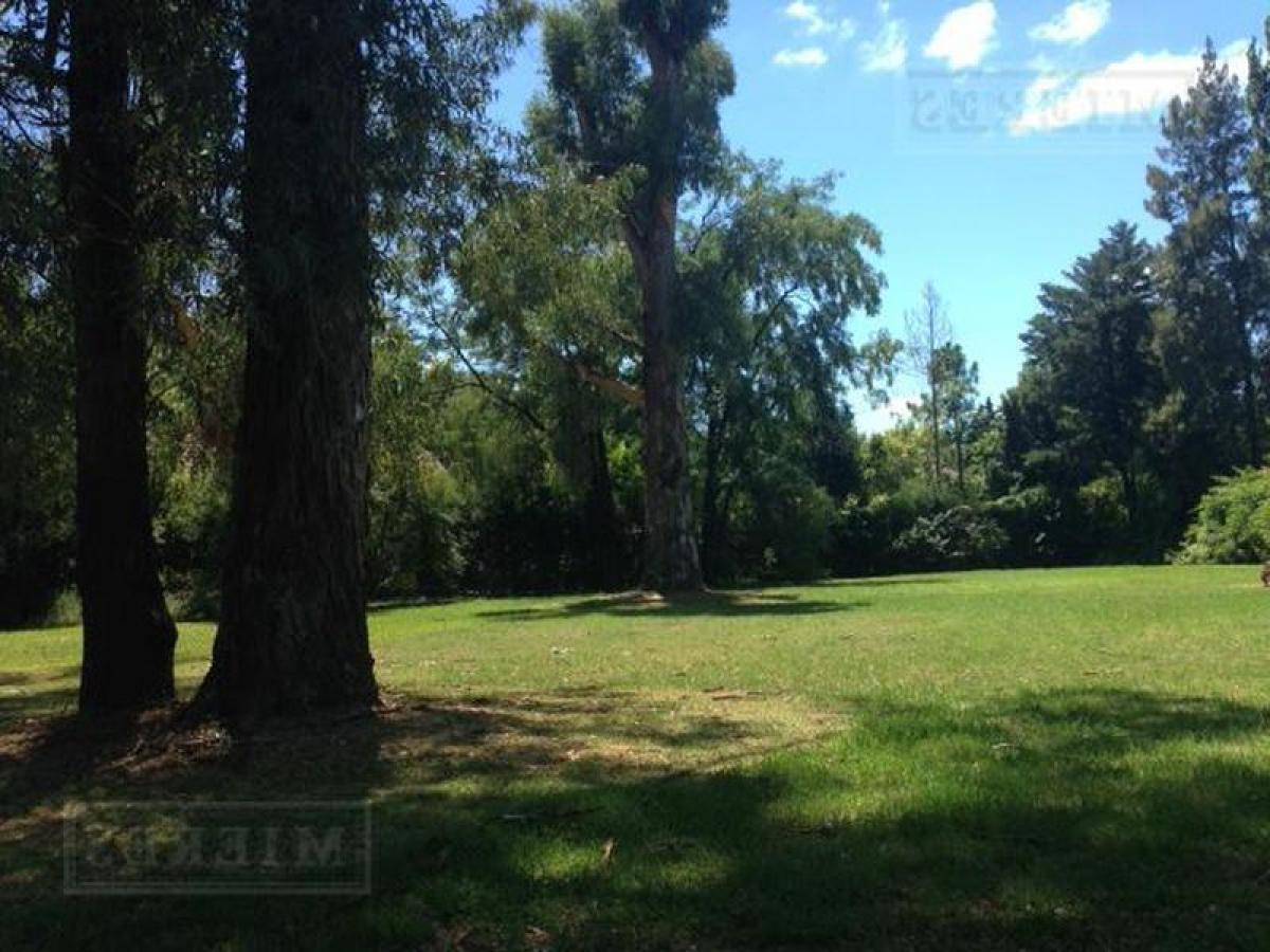  Land in Tigre, Argentina No. 36104