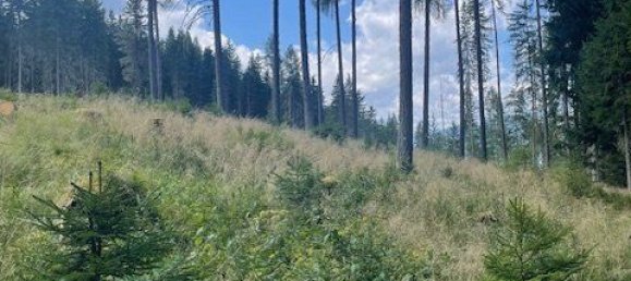  Commercial property in Murau, Austria No. 239842 7