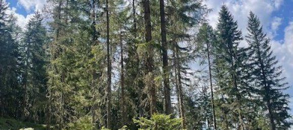  Commercial property in Murau, Austria No. 239842 9