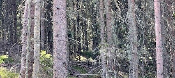  Commercial property in Murau, Austria No. 239842 5