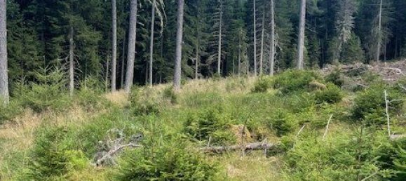  Commercial property in Murau, Austria No. 239842 6