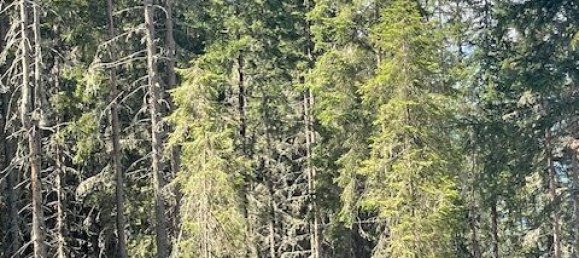  Commercial property in Murau, Austria No. 239842 3