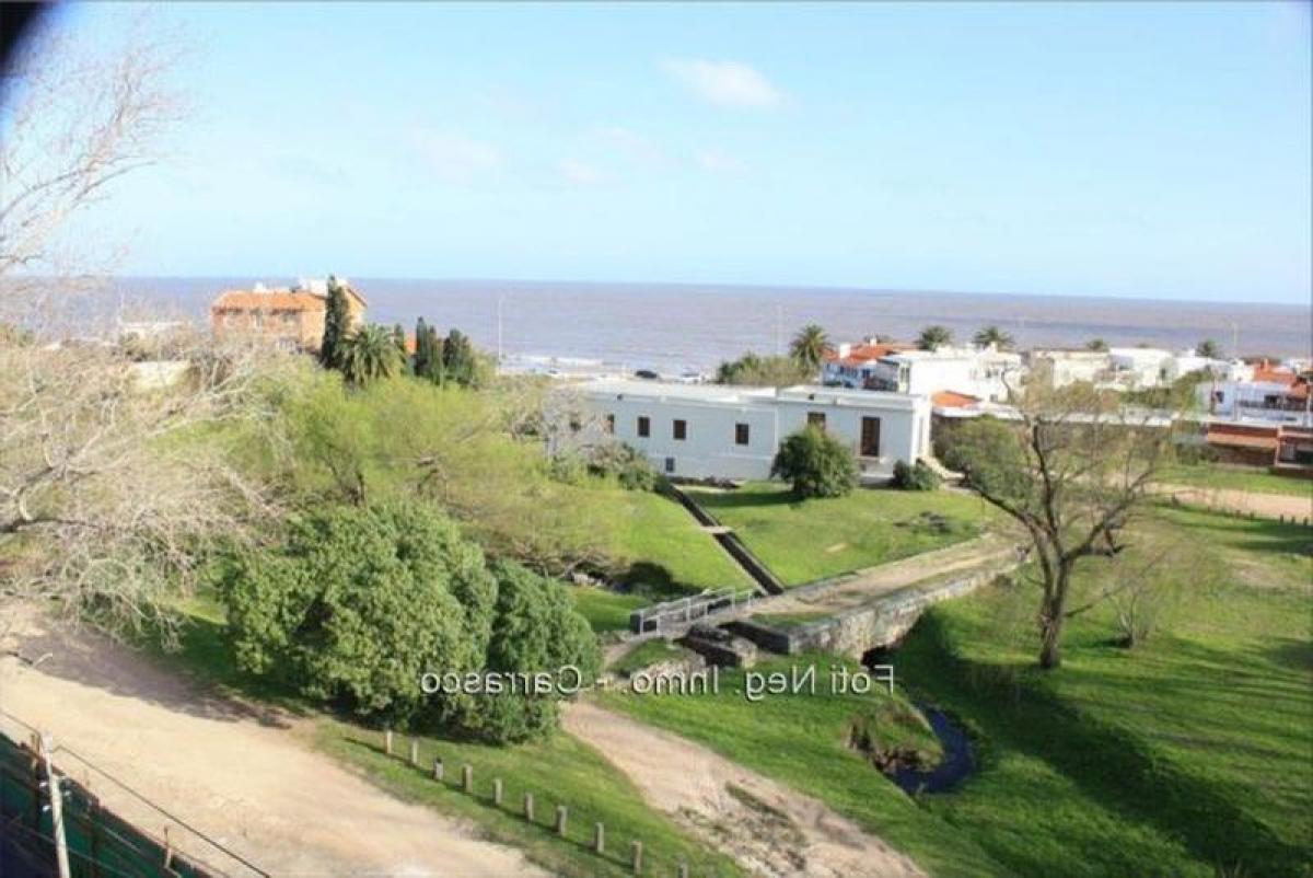 استوديو في Montevideo, Uruguay رقم 4299