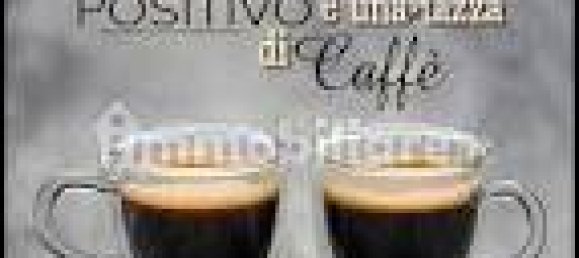 2 rooms Commercial property in Sanremo, Italy No. 189136 7