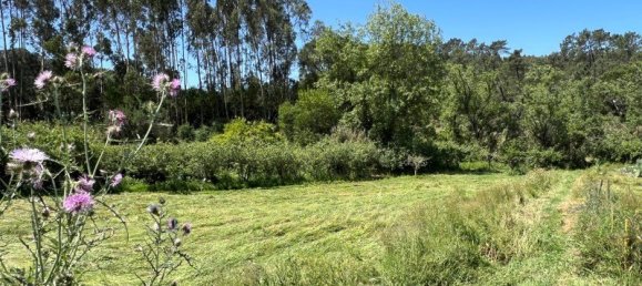 4 Schlafzimmer Haus in Sesimbra, Portugal, Nr. 137746 15