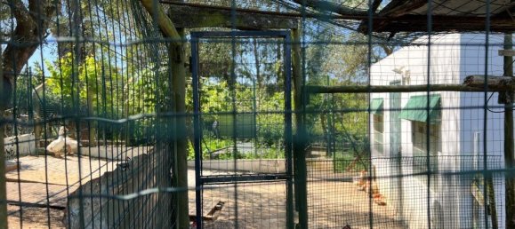 4 Schlafzimmer Haus in Sesimbra, Portugal, Nr. 137746 46