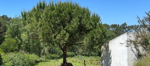 4 Schlafzimmer Haus in Sesimbra, Portugal, Nr. 137746 28