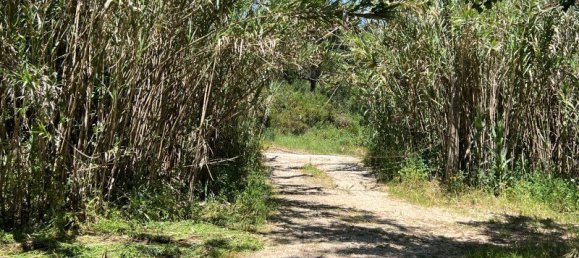 4 Schlafzimmer Haus in Sesimbra, Portugal, Nr. 137746 20