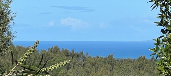 4 Schlafzimmer Haus in Sesimbra, Portugal, Nr. 137746 12