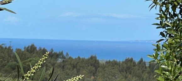 4 Schlafzimmer Haus in Sesimbra, Portugal, Nr. 137746 6