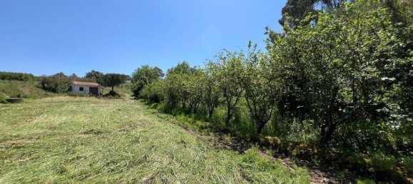 4 Schlafzimmer Haus in Sesimbra, Portugal, Nr. 137746 25