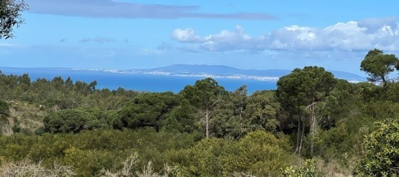 4 Schlafzimmer Haus in Sesimbra, Portugal, Nr. 137746 31
