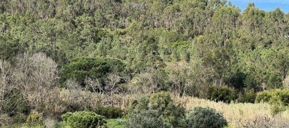 4 Schlafzimmer Haus in Sesimbra, Portugal, Nr. 137746 14