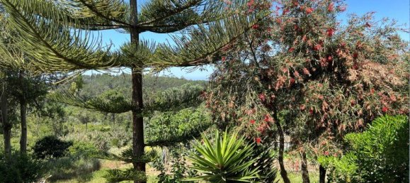 4 Schlafzimmer Haus in Sesimbra, Portugal, Nr. 137746 44