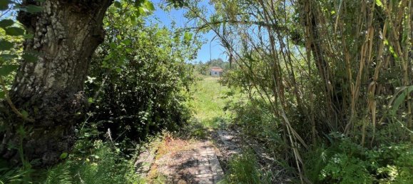 4 Schlafzimmer Haus in Sesimbra, Portugal, Nr. 137746 21