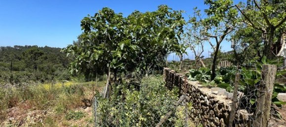 4 Schlafzimmer Haus in Sesimbra, Portugal, Nr. 137746 35