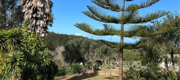 4 Schlafzimmer Haus in Sesimbra, Portugal, Nr. 137746 10