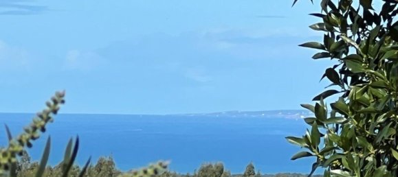 4 Schlafzimmer Haus in Sesimbra, Portugal, Nr. 137746 38