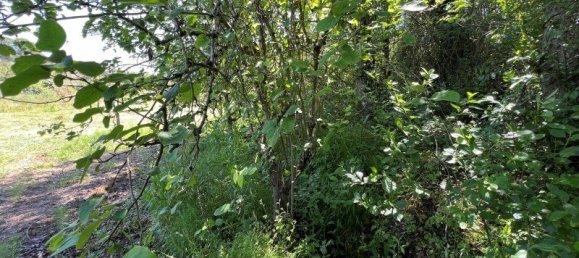 4 Schlafzimmer Haus in Sesimbra, Portugal, Nr. 137746 22