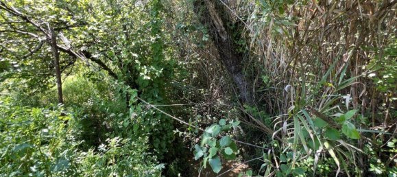 4 Schlafzimmer Haus in Sesimbra, Portugal, Nr. 137746 19