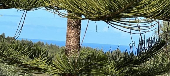 4 Schlafzimmer Haus in Sesimbra, Portugal, Nr. 137746 37