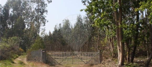 79702m² Land in Vilarinho das Cambas, Portugal No. 40032 5