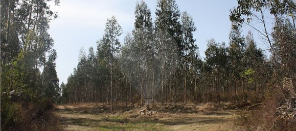 79702m² Land in Vilarinho das Cambas, Portugal No. 40032 4