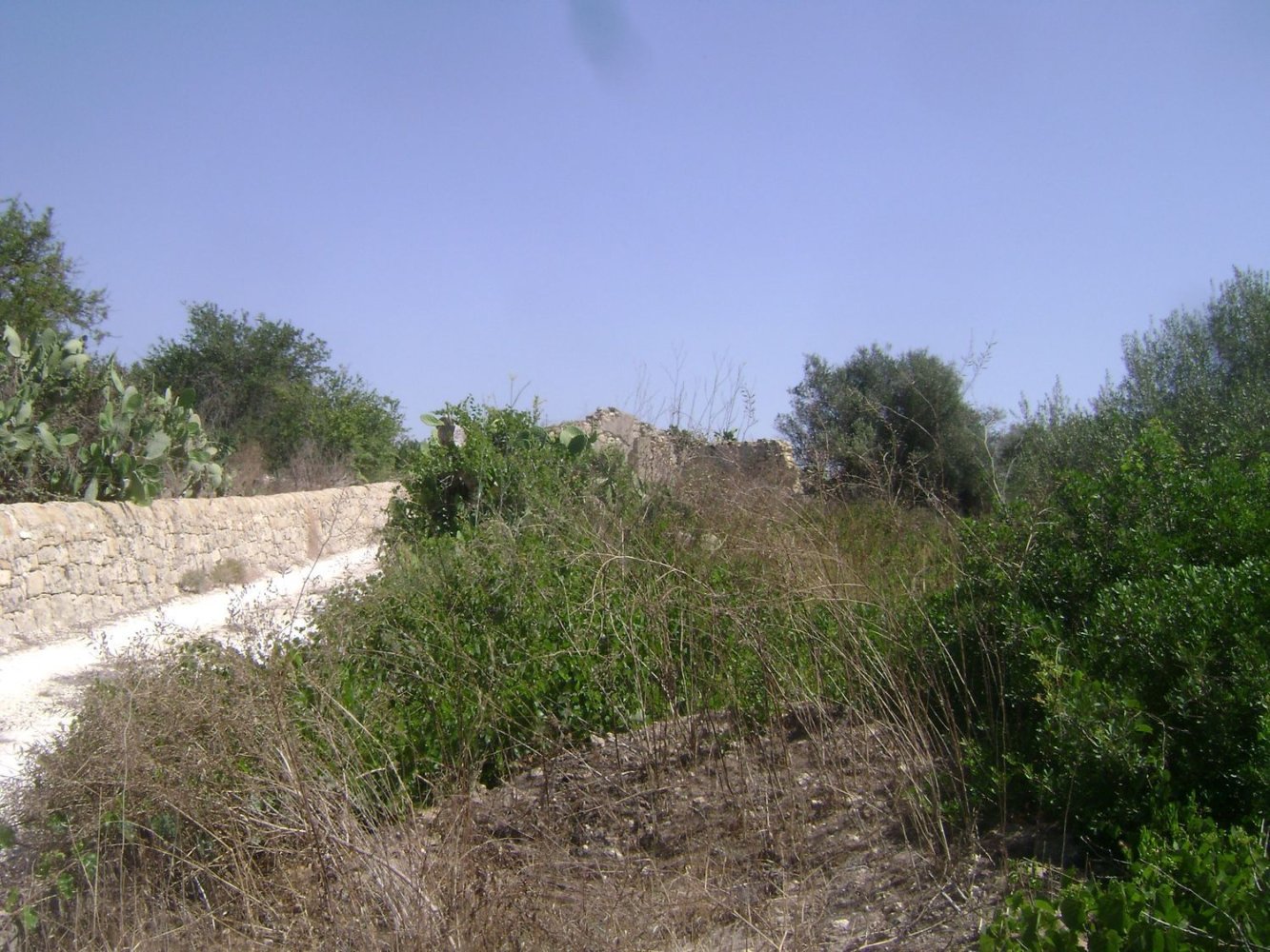 Estúdio em Noto, Italy N.º 66686