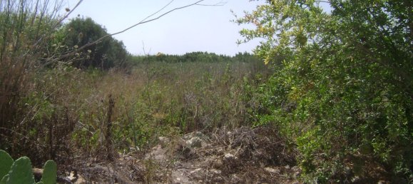 Estúdio em Noto, Italy N.º 66686 4