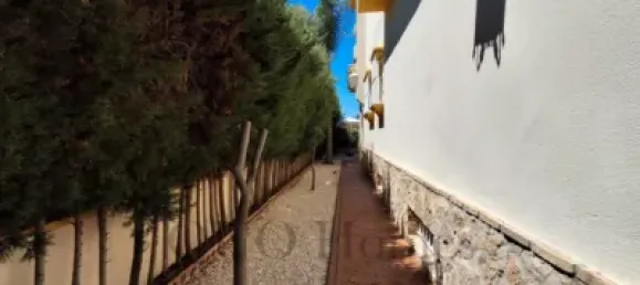 4 bedrooms House in Jerez de la Frontera, Spain No. 170616 50