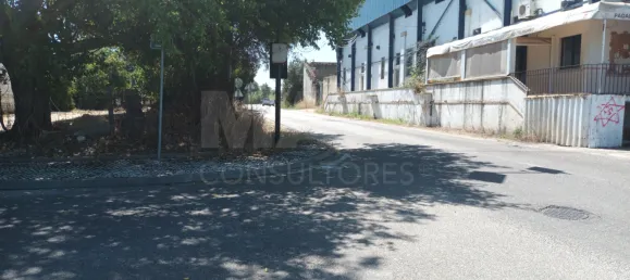 30000m² Land in Benavente, Portugal No. 134773 3