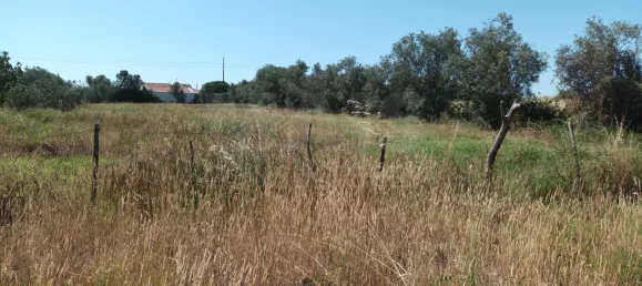 30000m² Land in Benavente, Portugal No. 134773 7