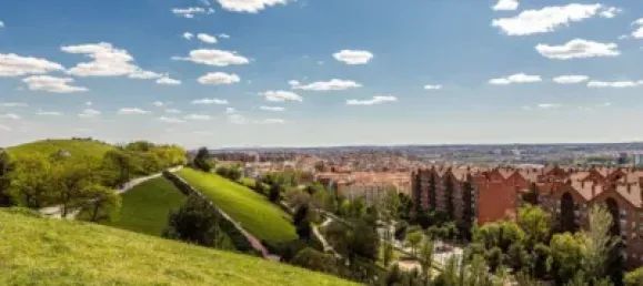 1 Schlafzimmer Wohnung in Madrid, Spain, Nr. 139317 24