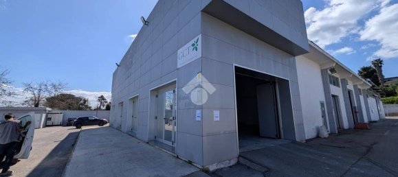 1 room Commercial property in Pomezia, Italy No. 52455 47