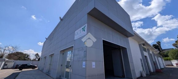 1 room Commercial property in Pomezia, Italy No. 52455 25