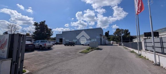 1 room Commercial property in Pomezia, Italy No. 52455 13