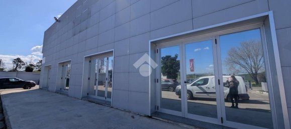 1 room Commercial property in Pomezia, Italy No. 52455 44