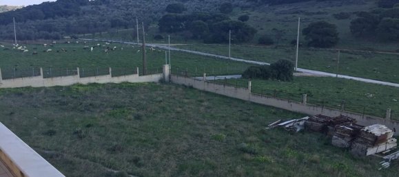 7 غرف نوم عقار تجاري في Anavyssos, Greece رقم 3933 4