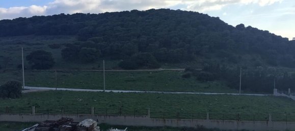 7 غرف نوم عقار تجاري في Anavyssos, Greece رقم 3933 3