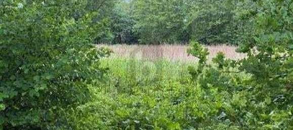 Terrain à Pinneberg, Germany 10164m² No. 273724 2