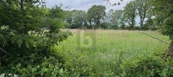 Terrain à Pinneberg, Germany 10164m² No. 273724 3