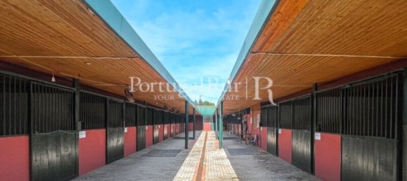  Castillos de 8 dormitorios en Elvas, Portugal No. 103779 44